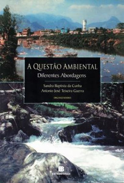 Picture of A QUESTAO AMBIENTAL - DIFERENTES ABORDAGENS                          