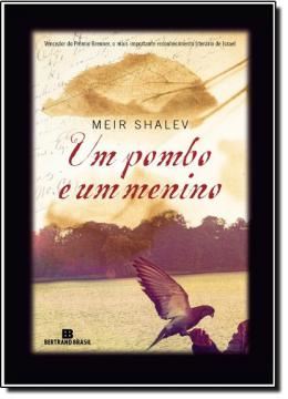 Imagem de UM POMBO E UM MENINO