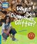 Imagem de WHY DO DIAMONDS GLITTER? 5 FACTBOOK 