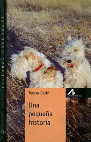 Picture of UNA PEQUENA HISTORIA (NIVEL 4)