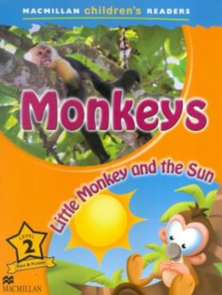 Picture of MONKEYS LITTLE MONKEY AND THE SUN 2