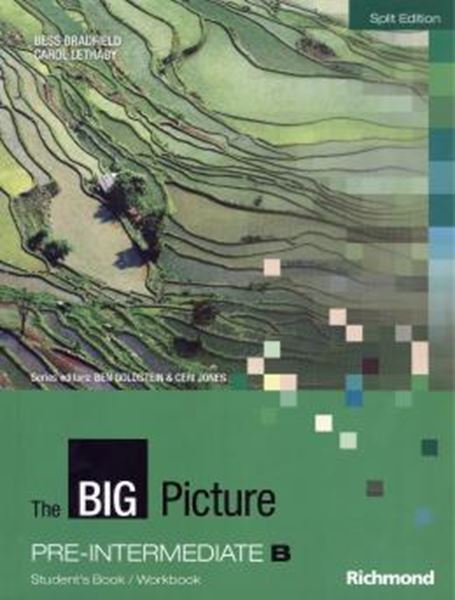Picture of THE BIG PICTURE PRE-INTERMEDIATE B STUDENTS BOOK - WORKBOOK