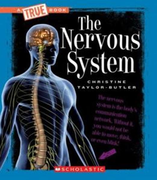 Picture of NERVOUS SYSTEM, THE