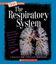 Imagem de RESPIRATORY SYSTEM, THE