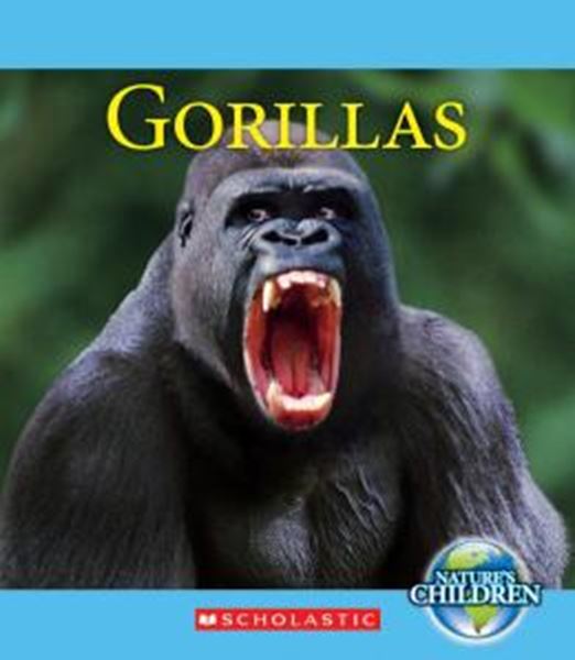 Picture of GORILLAS