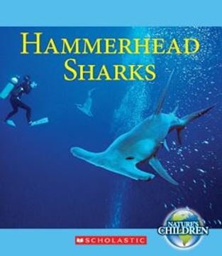 Imagem de HAMMERHEAD SHARKS