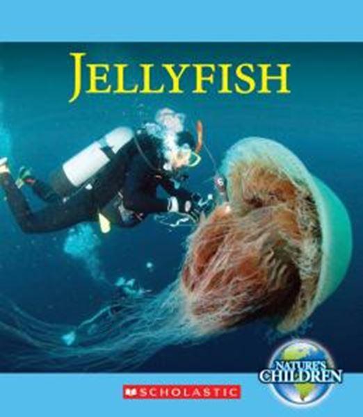 Picture of JELLYFISH