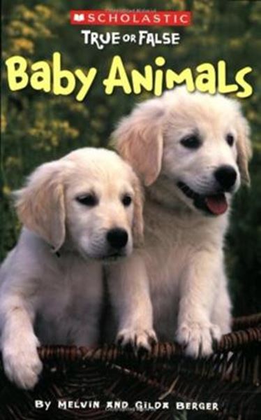 Picture of SCHOLASTIC TRUE OR FALSE - BABY ANIMALS
