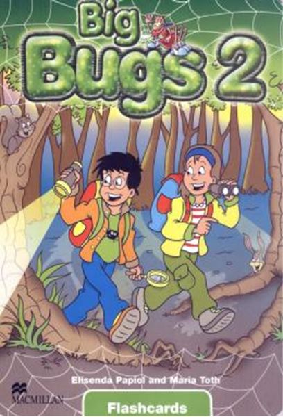 Picture of BIG BUGS - FLASHCARDS 2
