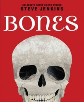 Imagem de BONES - SKELETONS AND HOW THEY WORK