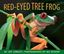 Imagem de THE RED-EYED TREE FROG