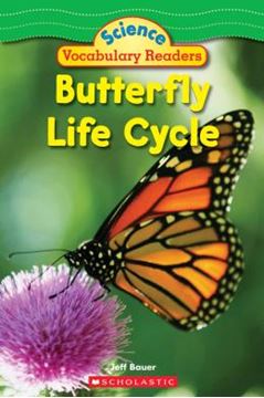 Imagem de BUTTERFLY LIFE CYCLE