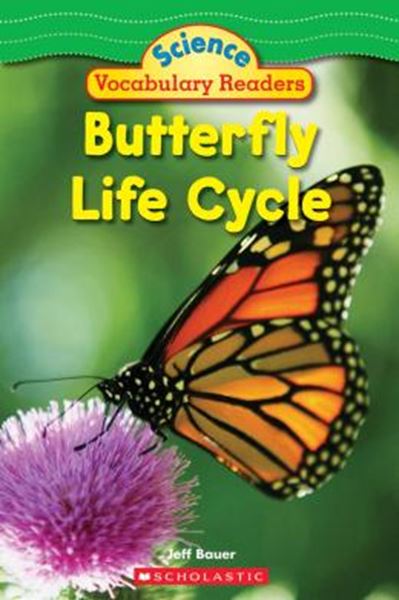 Picture of BUTTERFLY LIFE CYCLE