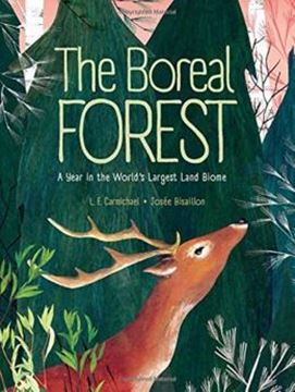 Imagem de THE BOREAL FOREST