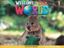 Imagem de WELCOME TO OUR WORLD 1 ACTIVITY BOOK ALL CAPS - AMERICAN - 2ND ED