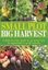Imagem de SMALL PLOT, BIG HARVEST - A STEP-BY-STEP GUIDE TO GROWING FRUITS AND VEGETABLES IN SMALL SPACES