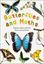 Imagem de BUTTERFLIES AND MOTHS - EXPLORE NATURE WITH FUN FACTS AND ACTIVITIES