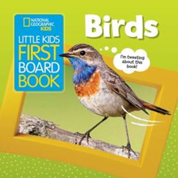 Picture of LITTLE KIDS FIRST BOARD BOOK - BIRDS