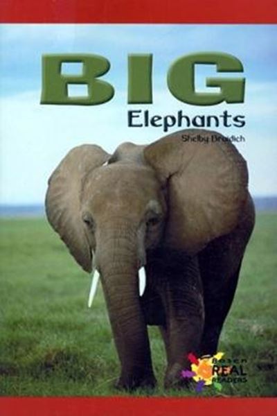 Picture of BIG ELEPHANTS