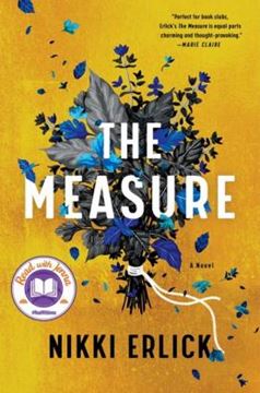 Imagem de THE MEASURE - A NOVEL