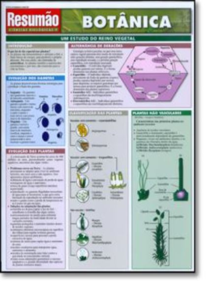 Picture of RESUMAO - BOTANICA