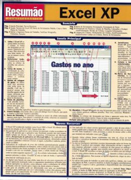 Picture of RESUMAO - EXCEL XP