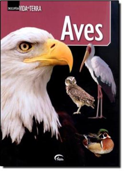 Picture of AVES