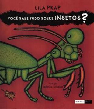 Imagem de VOCE SABE TUDO SOBRE INSETOS?