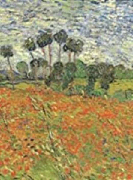 Picture of BIOLOGIA VEGETAL - 8ª EDICAO