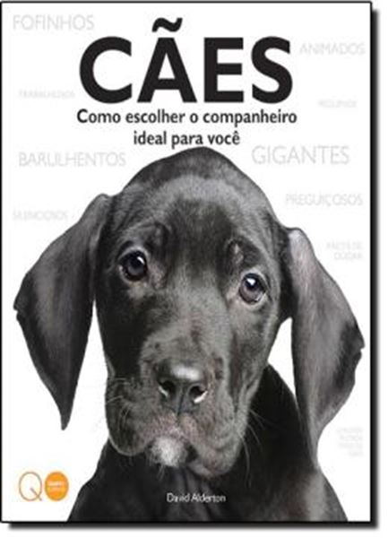 Picture of CAES - COMO ESCOLHER O COMPANHEIRO IDEAL PARA VOCE