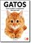 Imagem de GATOS - COMO ESCOLHER O COMPANHEIRO IDEAL PARA VOCE