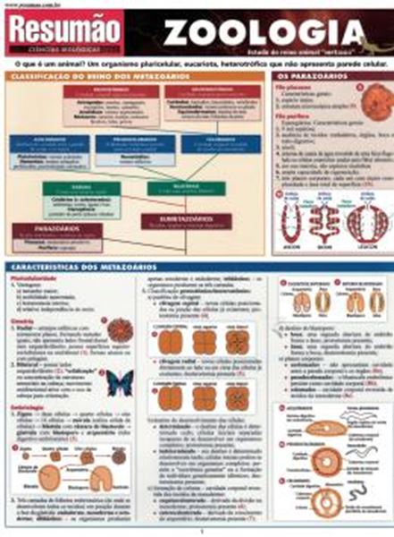 Picture of RESUMAO - ZOOLOGIA