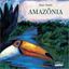 Imagem de AMAZONIA - CAPA DURA