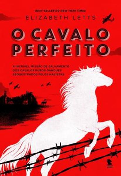 Picture of CAVALO PERFEITO, O