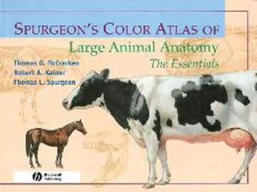Imagem de SPURGEON´S COLOR ATLAS OF LARGE ANIMAL ANATOMY