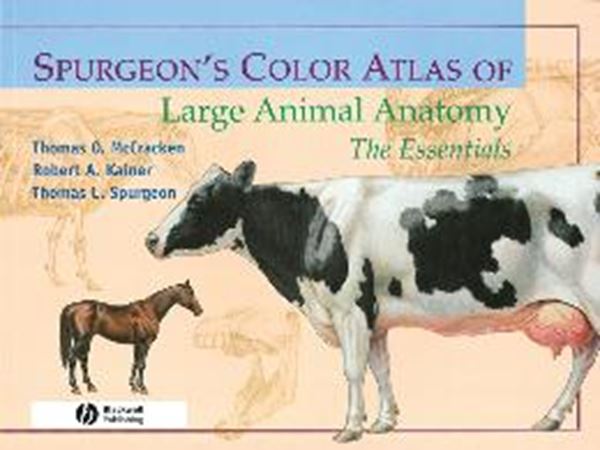 Picture of SPURGEON´S COLOR ATLAS OF LARGE ANIMAL ANATOMY