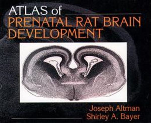 Picture of ATLAS OF PRENATAL RAT BRAIN DEVELOPMENT