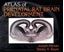 Imagem de ATLAS OF PRENATAL RAT BRAIN DEVELOPMENT