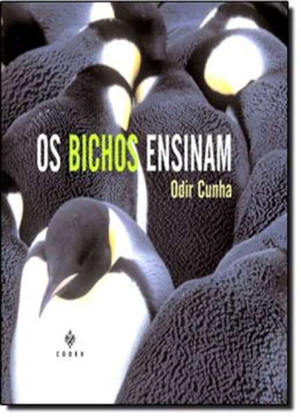 Picture of BICHOS ENSINAM, OS