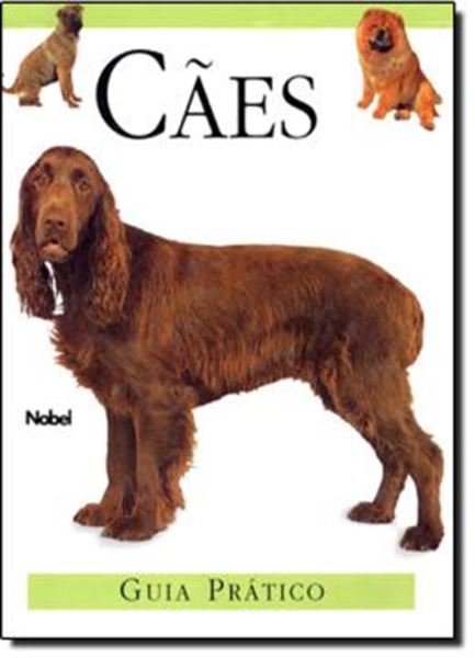 Picture of CAES - GUIA PRATICO