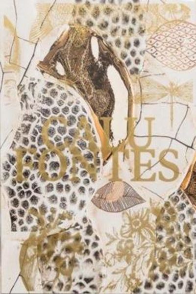 Picture of CALU FONTES - CAMADAS, CONTORNOS E RELEVOS