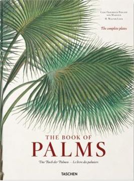 Imagem de THE BOOK OF PALMS