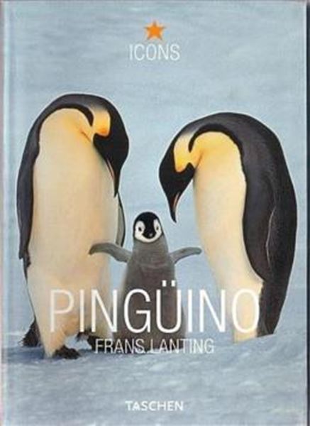 Picture of PINGUINO