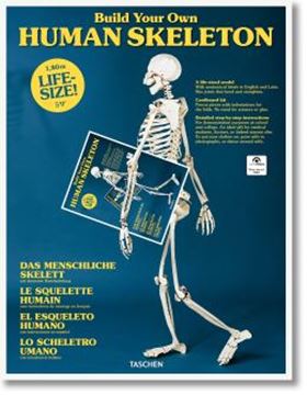 Imagem de BUILD YOUR OWN HUMAN SKELETON - LIFE-SIZE!