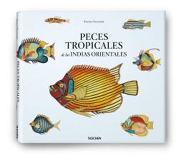 Picture of PEIXES TROPICAIS DAS INDIAS