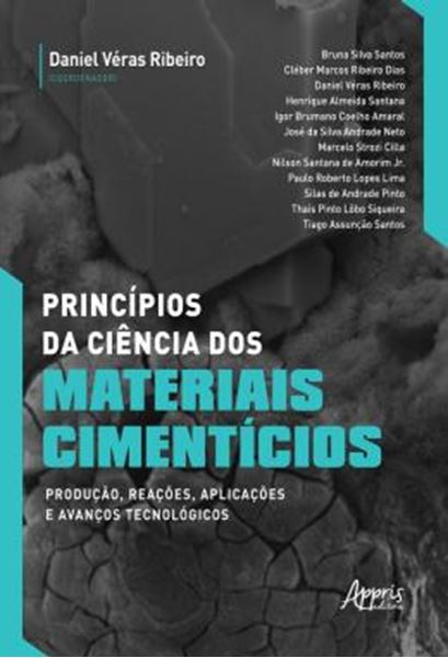 Picture of PRINCIPIOS DA CIENCIA DOS MATERIAIS CIMENTICIOS: PRODUCAO, REACOES, APLICACOES E AVANCOS TECNOLOGICOS