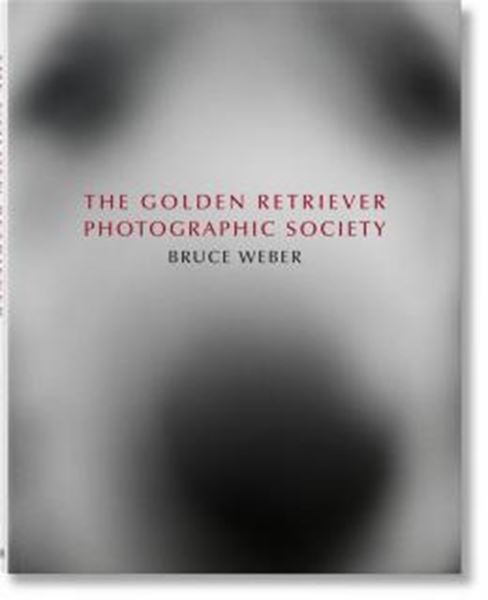 Picture of BRUCE WEBER. THE GOLDEN RETRIEVER PHOTOGRAPHIC SOCIETY