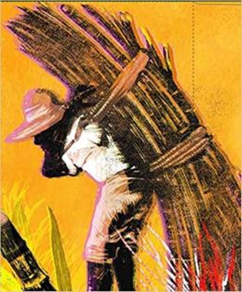 Picture of CICLO DA CANA DE ACUCAR