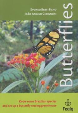 Imagem de BUTTERFLIES