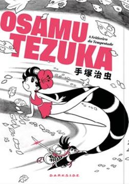 Imagem de A FEITICEIRA DA TEMPESTADE